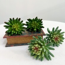 仿真多肉植物爬宠造景专用沙漠假花组合盆栽套装室内家居装饰摆件
