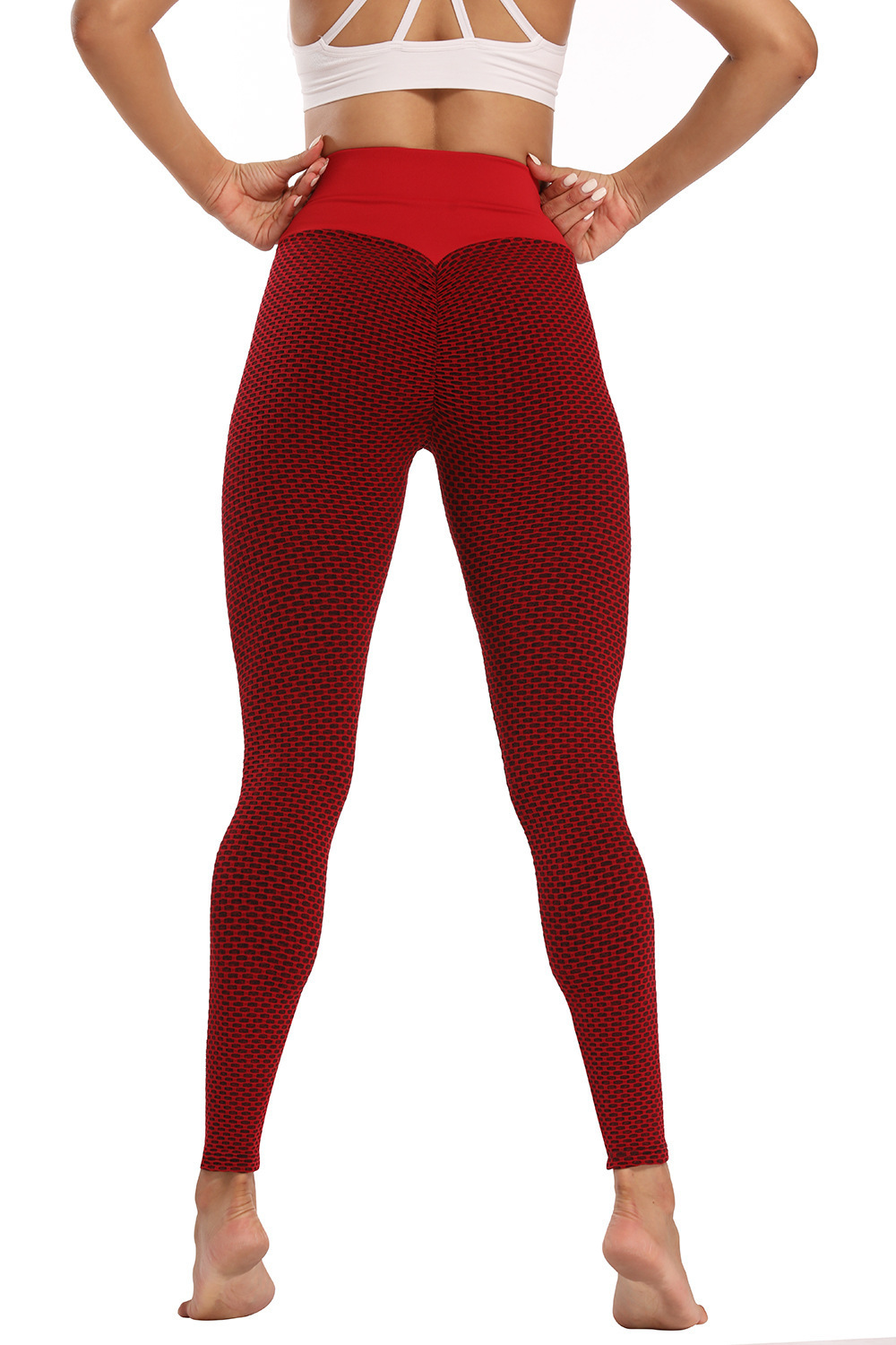 16053283353_2033343064