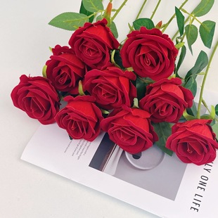 ���滨�q��õ�廨��c�bٻ������Ҿ����˹��b��ٲ����������