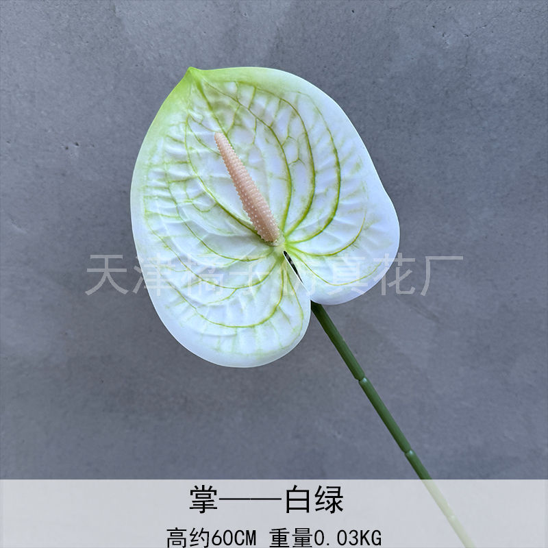 Flores de boda de alta calidad de flores de madera verde de bambú y lirio de pino masson de alta calidad