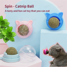 Catnip Wall Ball Cat Toys Pet Toys for Cats Clean Mouth Prom