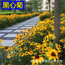 ľջN  ͺĽ׻ͥԺ⹫@N