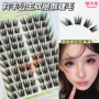 加长多层次嫁接柔软睫毛