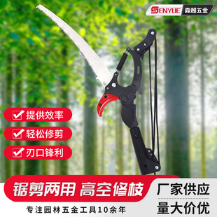 ��֦䏿���s�X�Ͻ��֦�ʡ����݆�߿՘�֦�޼����@�ָ߿���֦��
