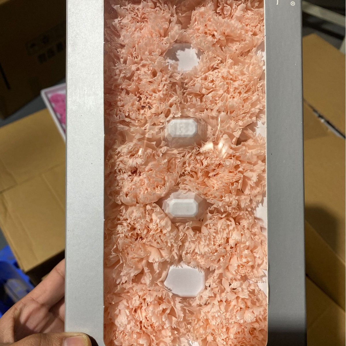 Cabezas de Claveles Preservadas A+, 4-5 cm, Paquete de 8, Arte Floral DIY, Caja de Regalo Educativa, Día de la Madre, Venta al por Mayor de Fábrica