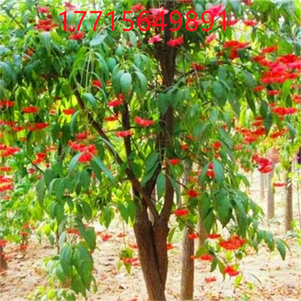 O1CN01R5n4XD1hDngjJEpXy_!!2560