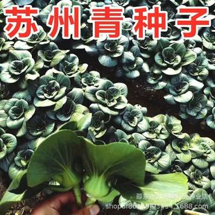 �K����N�Ӻ��~���_�๣�˺ڴ��^�Ϻ��೬���ó��ﶬ���r�Ҳ˷N