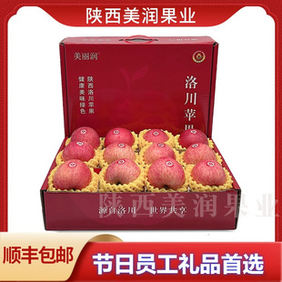 ������������S���]�崨�O�����rˮ������t��ʿ�߶˶Y�о�Ʒ����