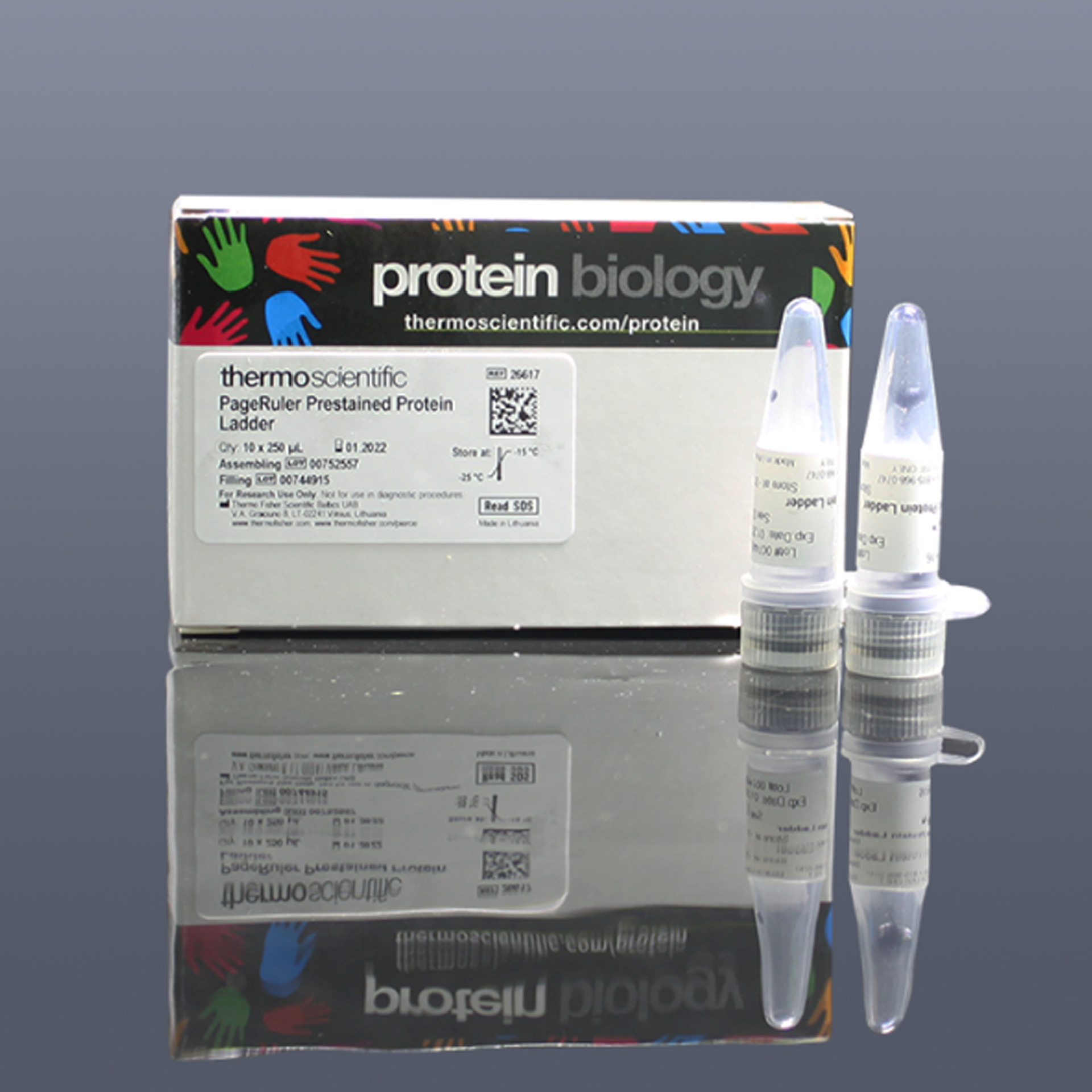Fermentas 26617 预染蛋白Ladder(10-180kDa)，10*250ul/包