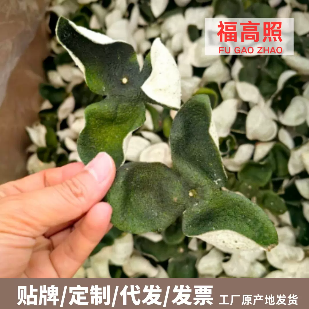 2024年厂家批发陈皮展会地摊正宗新会三花陈皮干新会陈皮青皮