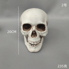 ���t�^ �f�}������ �ֲ����^�ưɹ������Қ�ղ��Ô[������