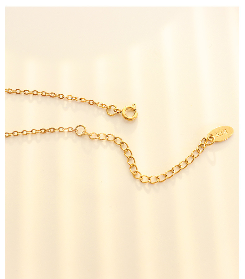 Fashion Geometric Titanium Steel Waterproof Non Tarnish No Inlaid PVD Coated Sterling Silver Polishing Cloth Women'S Anklet display picture 4