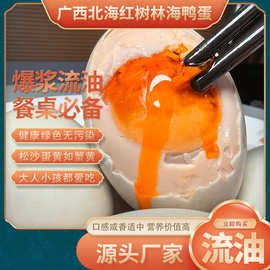 红树林特产海鸭蛋咸蛋60~80克礼盒/普装烤海鸭蛋蛋黄咸香松沙爆油