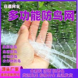 其他塑料网;农业塑料网;渔护