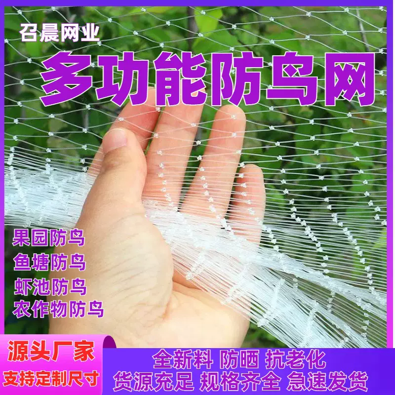 尼龙网单丝防鸟网樱桃树葡萄大棚农用养殖网围网尼龙线果园防护
