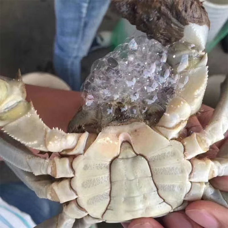 d7db50e5a48c940826bdf44a8f353f