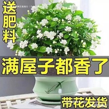 �ذ��������Ԏ������҃ȾGֲ��������x�ļ��_�����B�͏d����