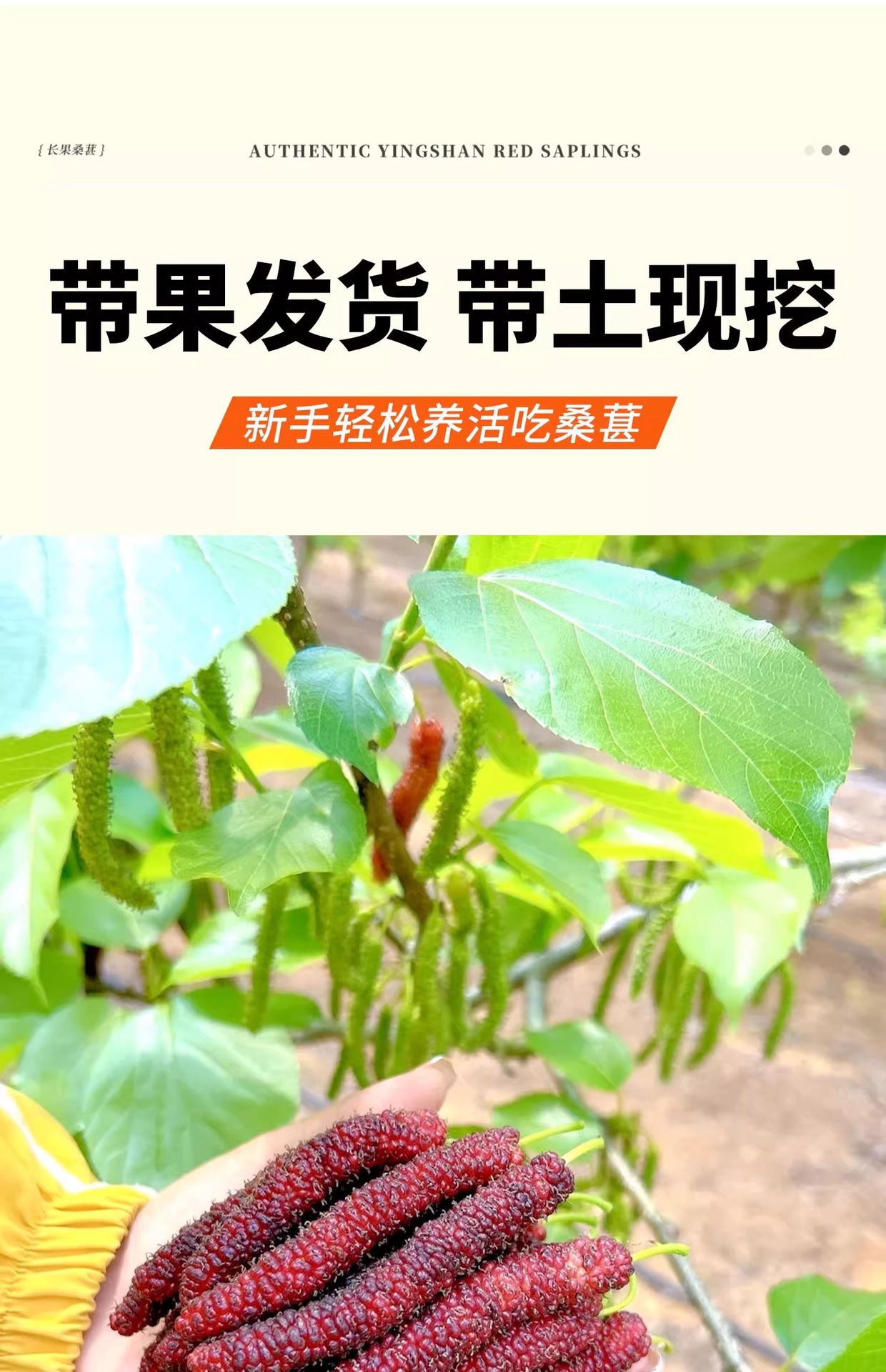 O1CN01pMH9pf1KQs676LsL9_!!2219532571159-0-cib.jpg?sign=583921_Mzg0OTAxODQ5