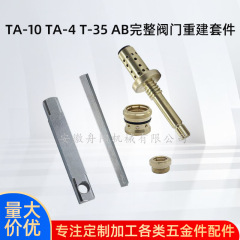 TA-10 TA-4 T-35 A/B完全バルブ再構築キットSymmonsTemptrolバルブ用