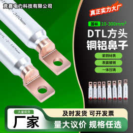 现货DTL-2方头铜铝鼻方头铝合金线鼻子空开断路器铜铝接线端子