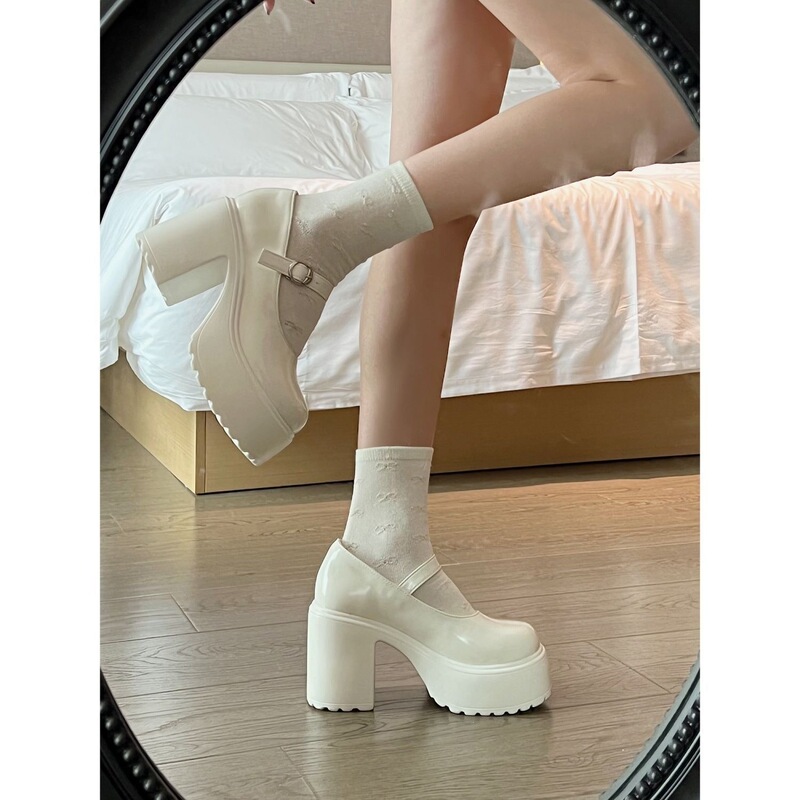 Chunky High-Heeled Leather Shoes for Women, French Mary Jane Style, 2026 New Spring/Summer Versatile Thick-Soled French Height-Increasing Shoes for Autumn