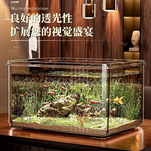 Novice Fish Tank Anti-Fall Home Living Room Small Goldfish Turtle Transparent Storage Box Rectangular Small Desktop Ecological Tank