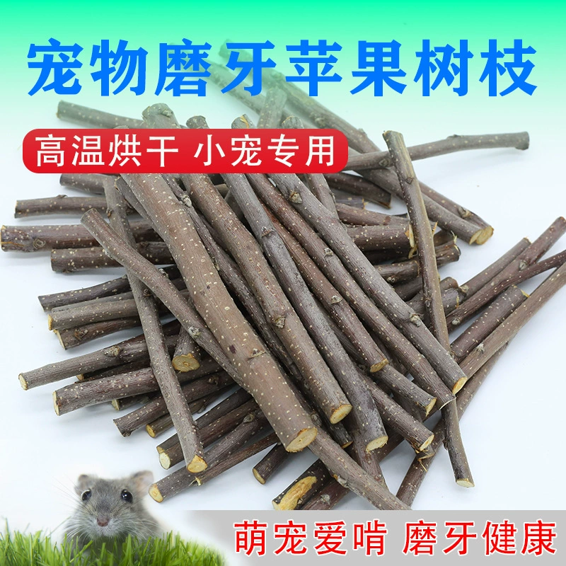 Яблочная ветка шлифовальная палочка свежая высокотемпературная сушка хомяк Цветочная ветка Крыса Тоторо кролик укус питомца Деревянная ветка оптом