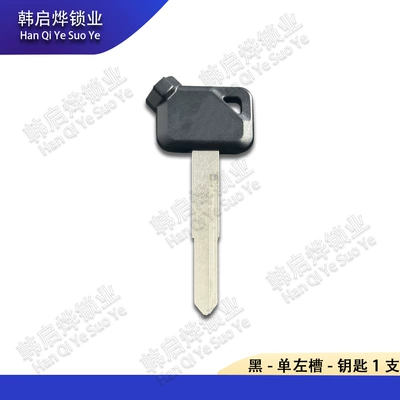 50 Magnetic Lock Electric – Motorcycle Key