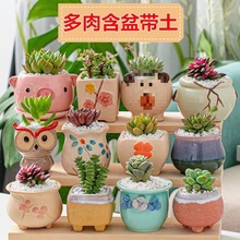 ���ֶ���ֲ��M���ײ���������ֲ�ﺬ���莧���k��������Gֲ����