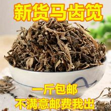 批  马齿苋 马齿笕 干马齿菜 干马齿苋 500克包邮