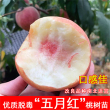 ¼tˮҘ޽SҘm䮔YϱNֲҘ