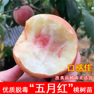 ���¼tˮ���Ҙ���޽��S�Ҙ��m�䮔��Y���ϱ����Nֲ�����Ҙ����