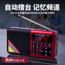 Y-509收音机老人FM随身听播放器便携充电插卡迷你音箱英语四六级