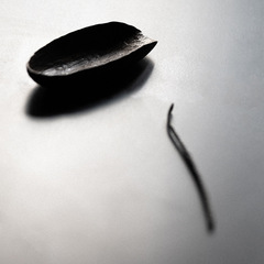 A5L手工雕刻紫光檀茶勺茶扒茶撥茶道實木茶針大紅酸枝茶則茶荷