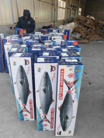 水产干货类;鱼类;鱼类零食