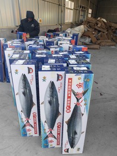 �S���E�~�S���~����~���~�ش��~���~�Y�����r����һ�����N���]�}