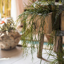 斑节松萝铁兰仿真植物垂吊绿植婚庆造景壁挂吊兰设计师空间