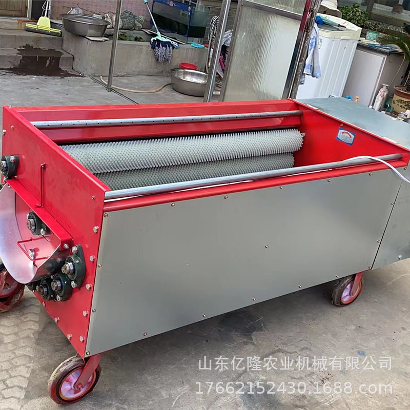 全自动青核桃脱皮机 硬皮剥青核桃皮机 榛子核桃破壳机