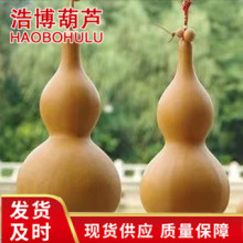 �S�ҹ�������J ��̖���J �؁�������J �[��������J ���J