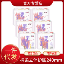 JS2410�l�����������w�o���¼��������w��10Ƭ�̋���240mm