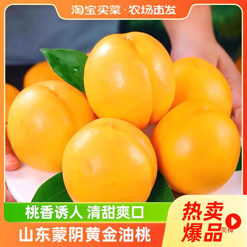 蒙阴黄桃现摘先发黄肉油桃当季新鲜水果脆甜毛桃整箱 限秒