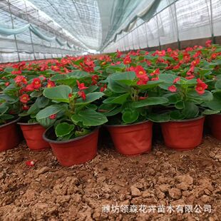 �ļ����� �ﺣ�������ļ����Ď��������B�׻��҃���ͥԺ�^�p����