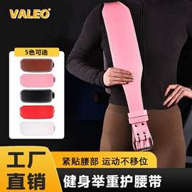 护腰;护腕;护踝