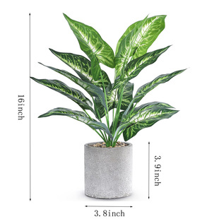 ���R�d��������12�^�R��ɏ�Ҿ��bGֲ�[������Gֲ��������^�~