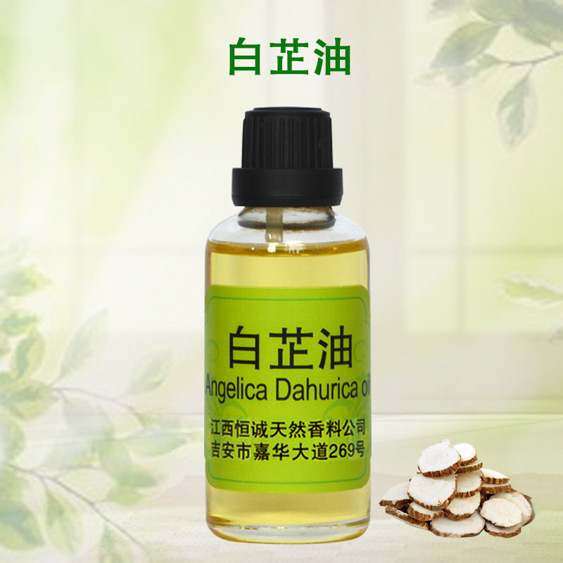 供应白芷油 植物精油 香料油 Angelica dahurica oil