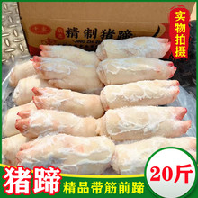 新鲜猪蹄 冷冻带筋猪前蹄 生鲜猪手 20斤 猪肘子 饭店卤菜店食品