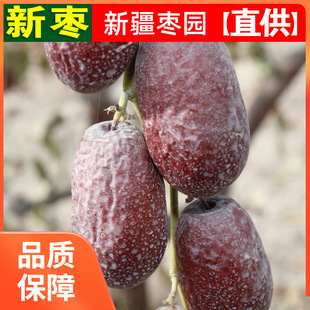 ll2023��5���½��җ��خa�t����Ǽ�t����Ǽ�җ���ʳδϴ���ɗ�