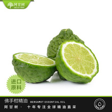���ʘ�������o�������ָ̾���Bergamot�η�����Citrus bergamia