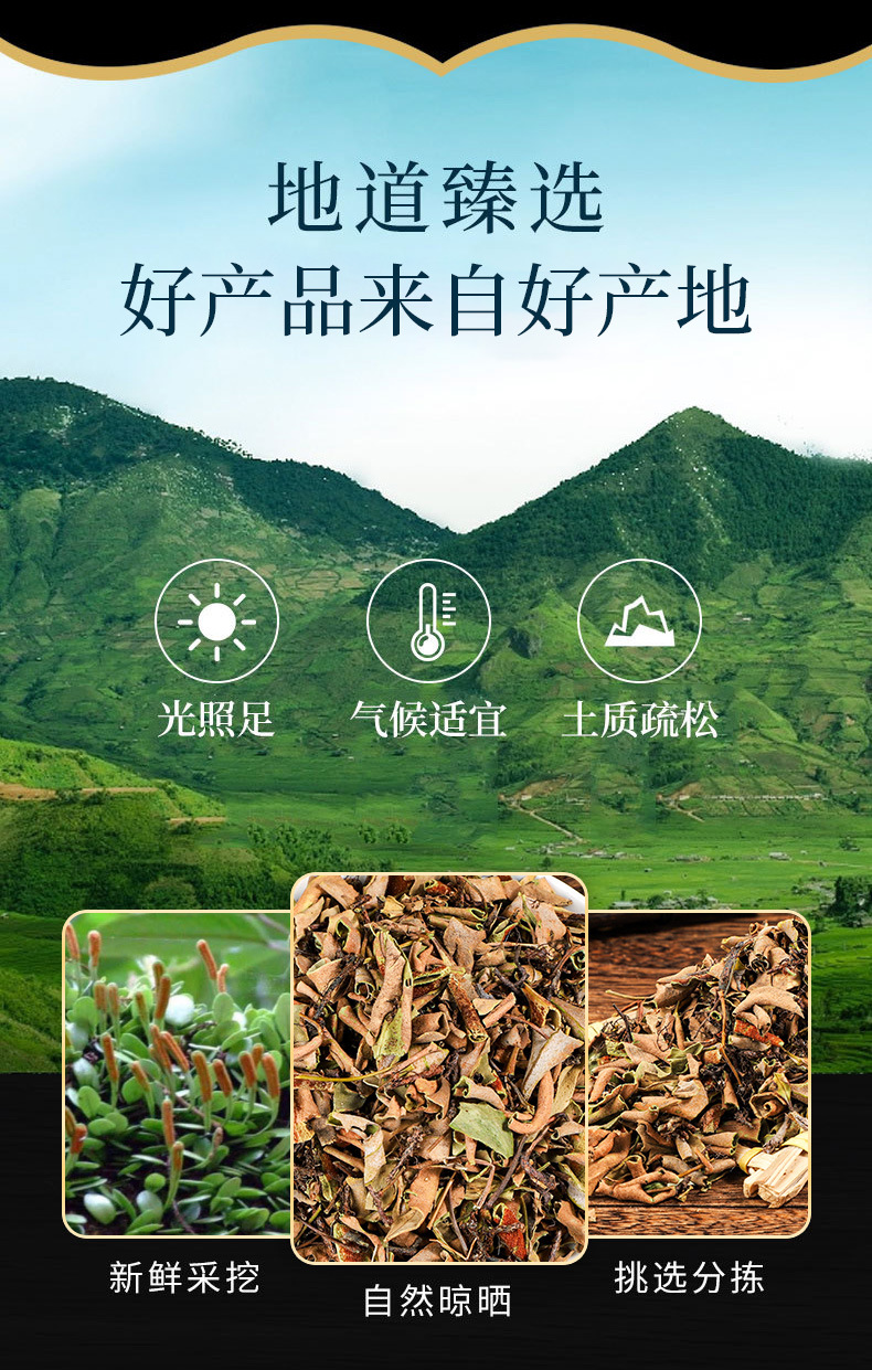 Shi Wei (Pyrrosia lingua) — Dried Shi Wei Herb, Flying Knife Sword Leaf & Stone Skin overview