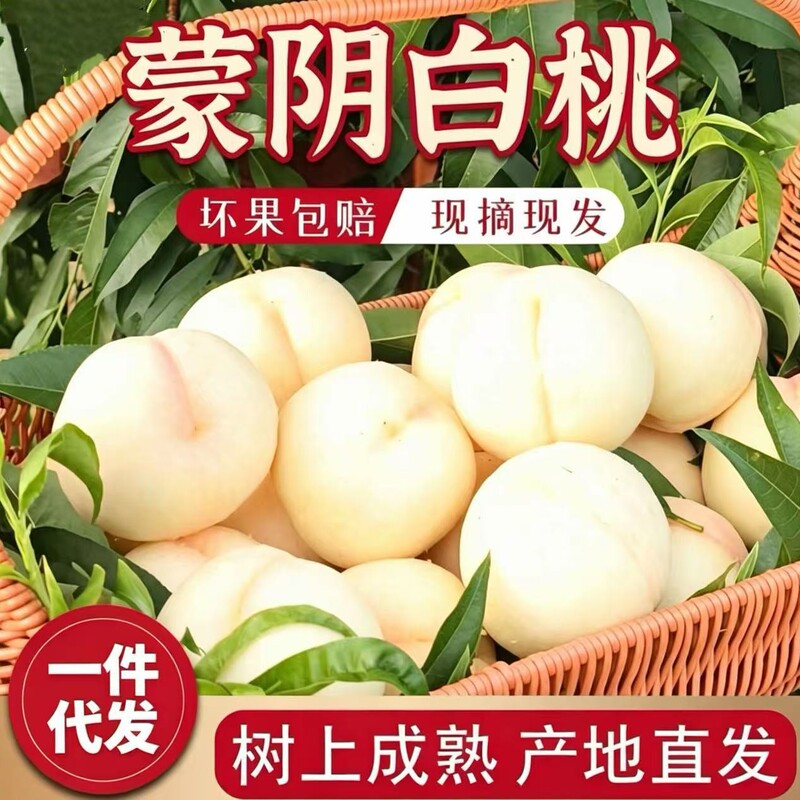 Shandong highland white peach, fresh fruit, direct from the source, perfect for pregnant women, crisp and sweet, a seasonal fruit Shandong highland white peach, fresh fruit, direct from the source, perfect for pregnant women, crisp and sweet, a seasonal fruit